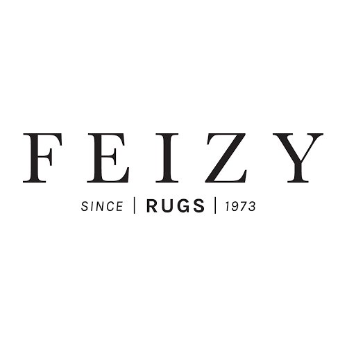 Feizy rugs